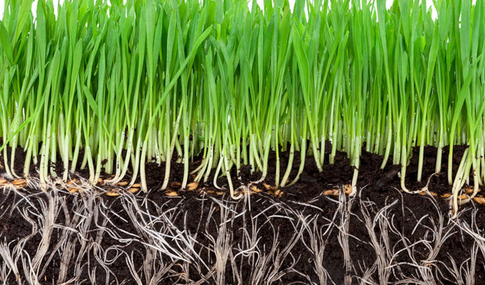 aeration-title lawn aeration in Tulsa