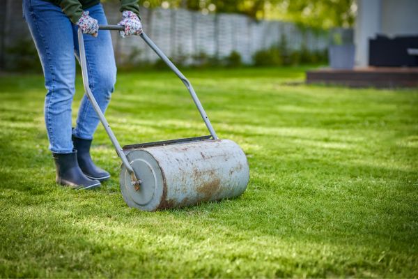 how to dethatch lawn